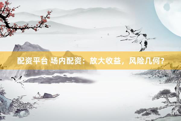 配资平台 场内配资：放大收益，风险几何？