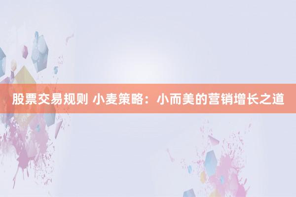 股票交易规则 小麦策略：小而美的营销增长之道