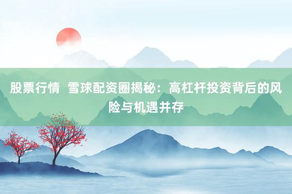 股票行情  雪球配资圈揭秘：高杠杆投资背后的风险与机遇并存