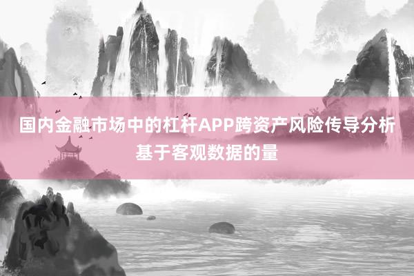 国内金融市场中的杠杆APP跨资产风险传导分析基于客观数据的量