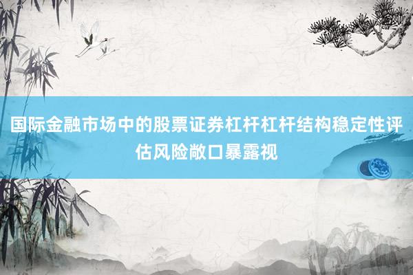 国际金融市场中的股票证券杠杆杠杆结构稳定性评估风险敞口暴露视